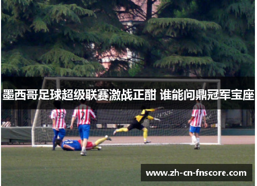 墨西哥足球超级联赛激战正酣 谁能问鼎冠军宝座